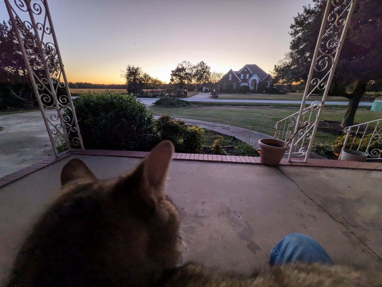 IMG_20251031_201256_202