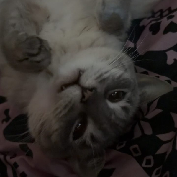 IMG_20260412_130537_662