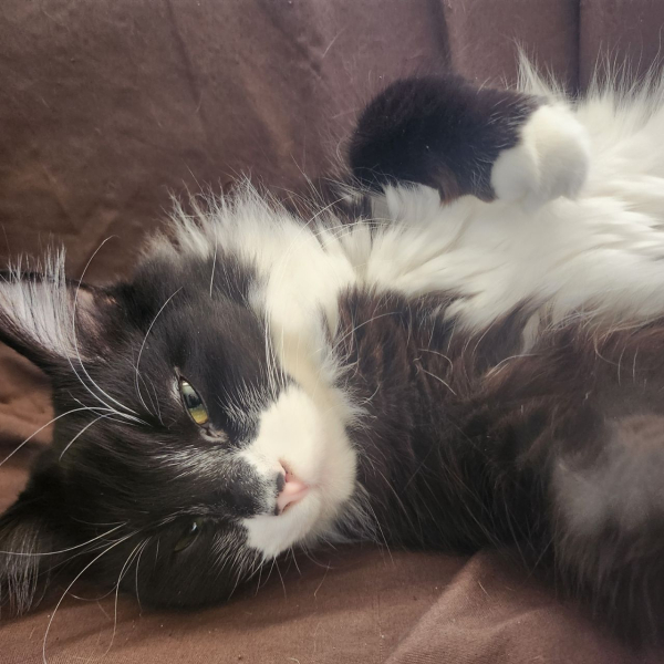 IMG_20260415_145635_119