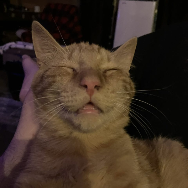 IMG_20260416_194625_331