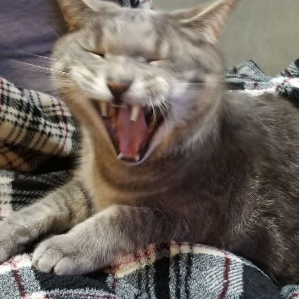 IMG_20260420_124318_870