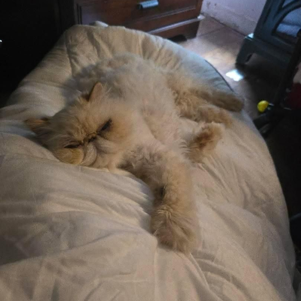 IMG_20260420_135108_625