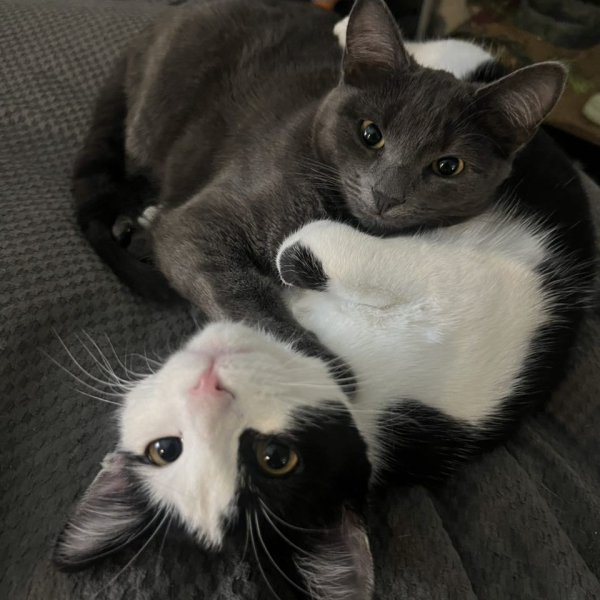 IMG_20260420_135900_506